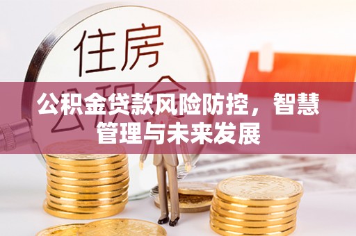 佳木斯公积金贷款风险防控，智慧管理与未来发展