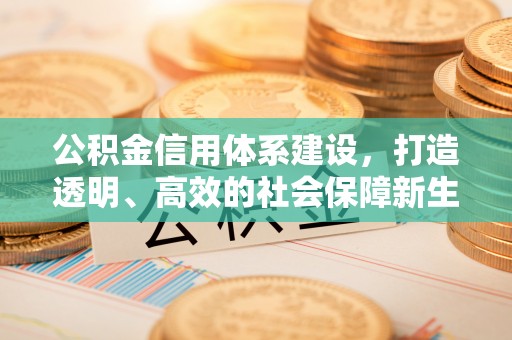 佳木斯公积金信用体系建设，打造透明、高效的社会保障新生态
