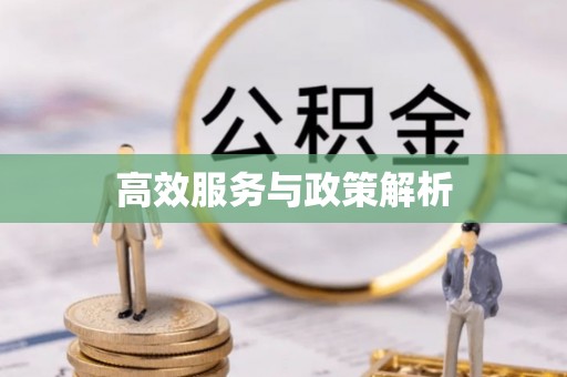 佳木斯高效服务与政策解析