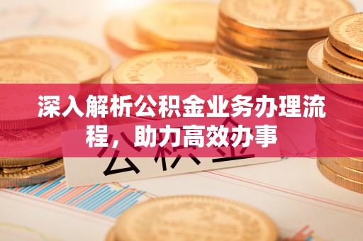 佳木斯深入解析公积金业务办理流程，助力高效办事