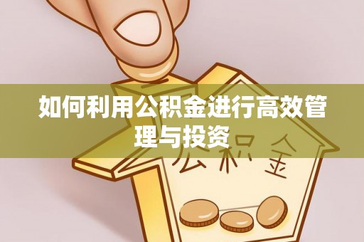 佳木斯如何利用公积金进行高效管理与投资