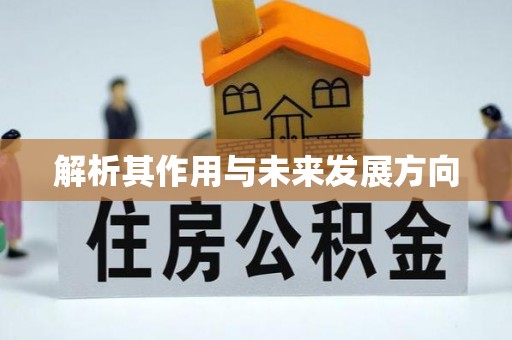 佳木斯解析其作用与未来发展方向
