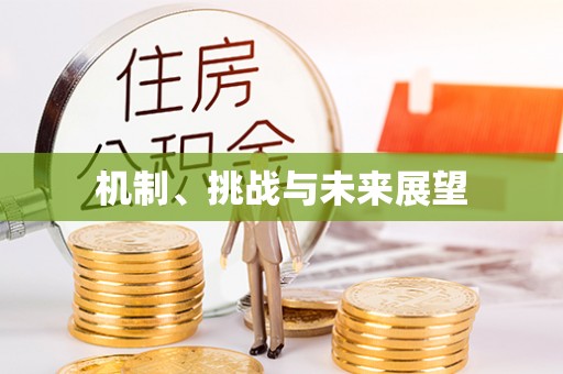 佳木斯机制、挑战与未来展望